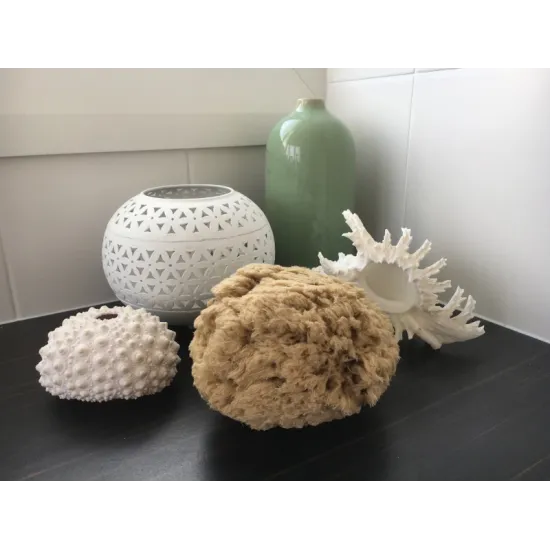 Sustainable Bath Sponge