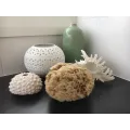 Sustainable Bath Sponge