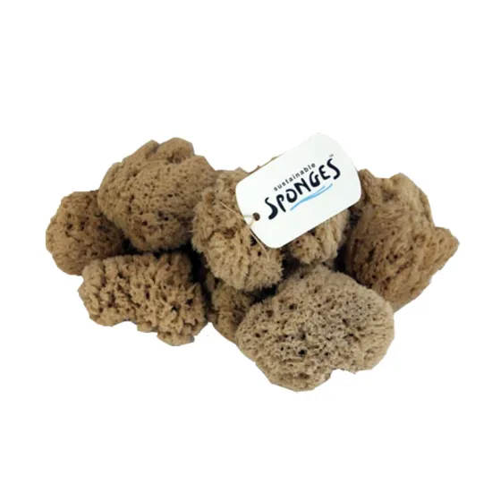 Sustainable Bath Sponge