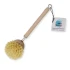 Tampico Dish Brush, Wooden, 50mm