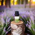 Organic Essential Lavender Oil, 10ml