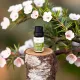 Organic Essential Tea Tree Oil, 10ml