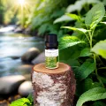 Organic Essential Spearmint Oil, 10ml