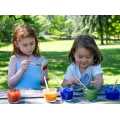 Natural Earth Paint Kit