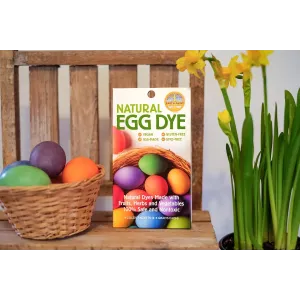 Natural Egg Dye Kit