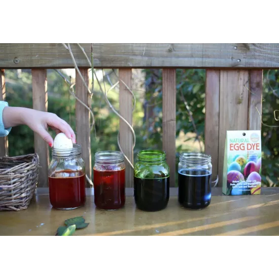 Natural Egg Dye Kit