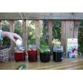 Natural Egg Dye Kit