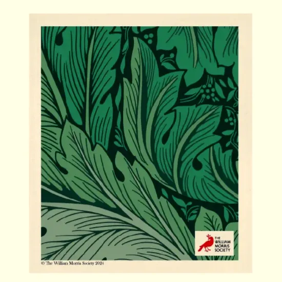 Biodegradable Dish Cloth