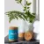 Biork™ Potassium Alum Crystal Deodorant Stick, Plastic Free