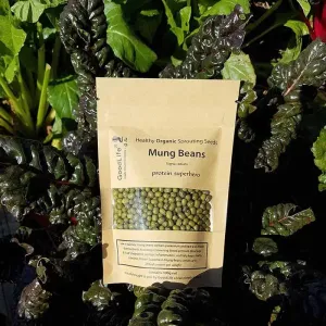 Mung Beans, Sprouting Seeds