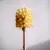 Wooden Toilet Brush