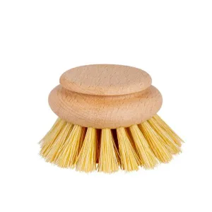 Replacement Head, Wooden Dish Brush, 50mm