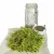 Organic Sprouting Jar Kit - Grow Fresh Seeds at Home!