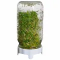 Organic Sprouting Jar Kit - Grow Fresh Seeds at Home!