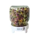 Sprouting Jar Kit (with organic seeds)