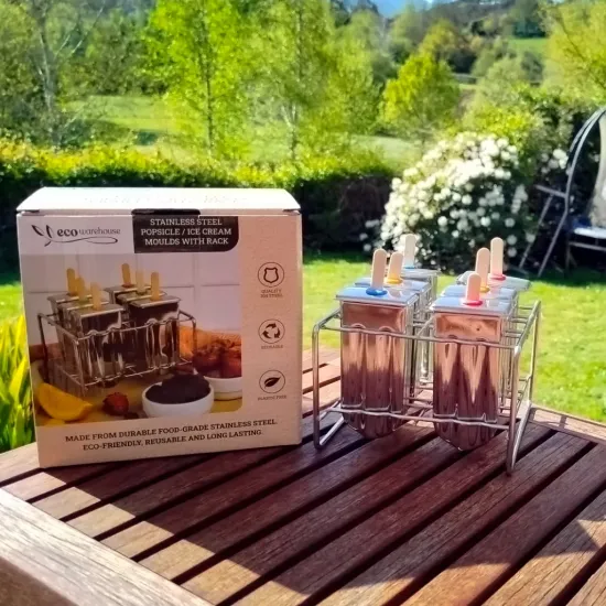 Stainless Steel Popsicle & Ice Cream Moulds Set of 6