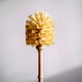 Eco-Friendly Wooden Toilet Brush for a Clean Bathroom