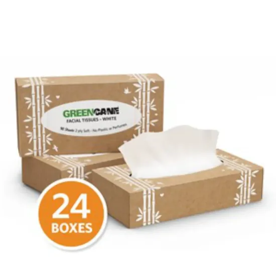 Soft & White 2-Ply Facial Tissues - 24 Inner Boxes