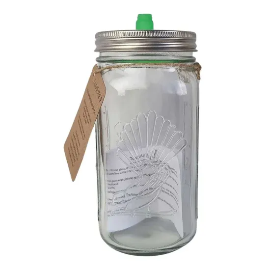 Glass Fermentation Jar Kit with Silicone Airlock Lid