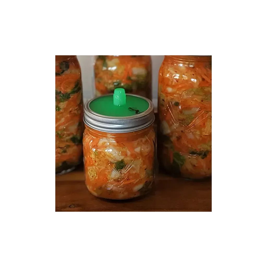 Glass Fermentation Jar Kit with Silicone Airlock Lid