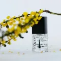 Top and Base Coat 15ml - Perfect Nail Protection