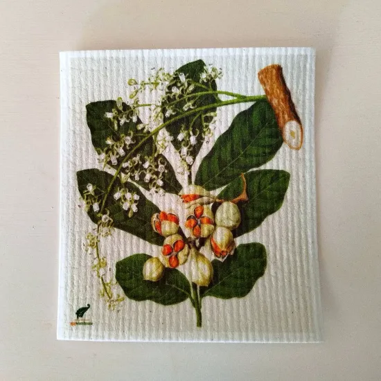 Biodegradable Swedish Dish Cloth, 3-Pack
