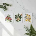 Biodegradable Swedish Dish Cloth, 3-Pack