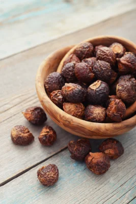 Dried soap nut shells in a wooden bowl